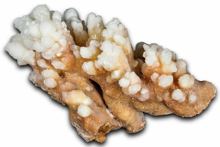 Sparkling Calcite/Aragonite Stalactite Formation - China #364519